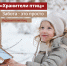 птичий флешмоб - Администрация Бабаевского района