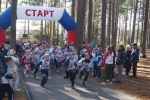 Пульс недели.