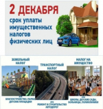 До срока уплаты имущественных налогов физических лиц осталась одна неделя.
