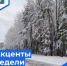 Пульс недели. - Бабаевский муниципальный округ
