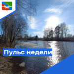 Пульс недели.