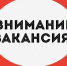 Объявление о вакансиях. - Бабаевский муниципальный округ