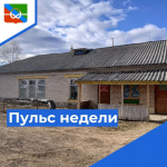 Пульс недели.