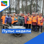 Пульс недели.