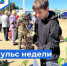 Пульс недели. - Бабаевский муниципальный округ