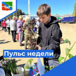 Пульс недели.