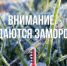 По данным Филиала ФГБУ Северное УГМС «Вологодский центр по гидрометеорологии и мониторингу окружающей среды». - Бабаевский муниципальный округ