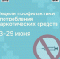 Неделя профилактики употребления наркотиков: важность осознания проблемы. - Бабаевский муниципальный округ