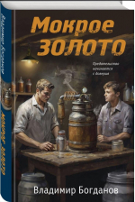 О книге