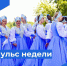 Пульс недели. - Бабаевский муниципальный округ