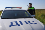 Более 600 сообщений о нарушениях ПДД поступило в чат-бот «За безопасность 35».