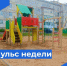 Пульс недели. - Бабаевский муниципальный округ