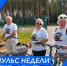Пульс недели. - Бабаевский муниципальный округ