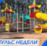 Пульс недели. - Бабаевский муниципальный округ