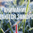 По данным Филиала ФГБУ Северное УГМС «Вологодский центр гидрометеорологии и мониторингу окружающей среды»:. - Бабаевский муниципальный округ