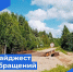 Дайджест обращений. - Бабаевский муниципальный округ