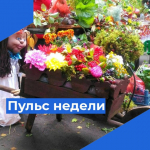 Пульс недели.