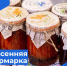 Этой ярмарки краски.... - Бабаевский муниципальный округ