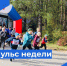 Пульс недели. - Бабаевский муниципальный округ