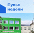 Пульс недели. - Бабаевский муниципальный округ