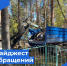 Дайджест обращений. - Бабаевский муниципальный округ
