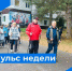 Пульс недели. - Бабаевский муниципальный округ