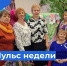 Пульс недели. - Бабаевский муниципальный округ