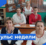 Пульс недели. - Бабаевский муниципальный округ