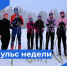 Пульс недели. - Бабаевский муниципальный округ