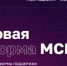 Около 30 полезных онлайн-сервисов доступно вологодским предпринимателям на цифровой платформе «МСП.РФ». - Бабаевский муниципальный округ
