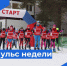 Пульс недели. - Бабаевский муниципальный округ