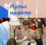 Пульс недели. - Бабаевский муниципальный округ