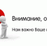 Социальные предприятия Вологодчины приглашают принять участие в опросе. - Бабаевский муниципальный округ