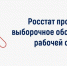 О ПРОВЕДЕНИИ ВЫБОРОЧНОГО ФЕДЕРАЛЬНОГО СТАТИСТИЧЕСКОГО ОБСЛЕДОВАНИЯ РАБОЧЕЙ СИЛЫ НА ТЕРРИТОРИИ ВОЛОГОДСКОЙ ОБЛАСТИ В 2026 ГОДУ. - Бабаевский муниципальный округ