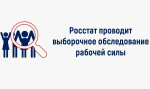 О ПРОВЕДЕНИИ ВЫБОРОЧНОГО ФЕДЕРАЛЬНОГО СТАТИСТИЧЕСКОГО ОБСЛЕДОВАНИЯ РАБОЧЕЙ СИЛЫ НА ТЕРРИТОРИИ ВОЛОГОДСКОЙ ОБЛАСТИ В 2026 ГОДУ.